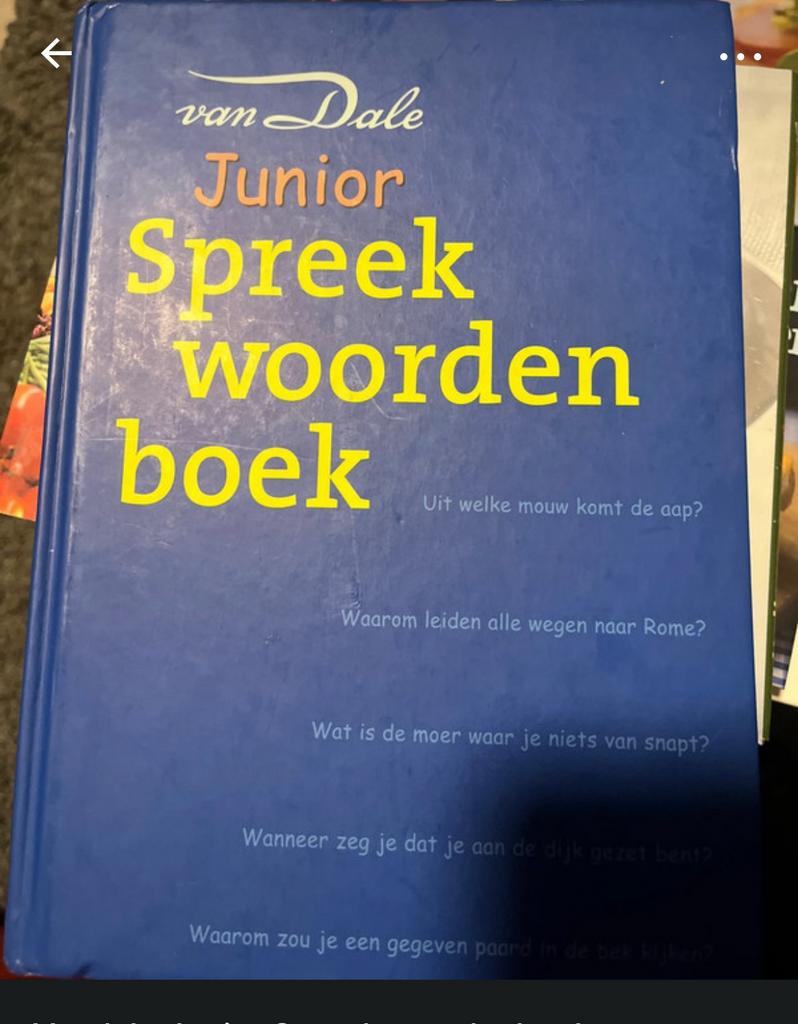 Vandale Junior Spreekwoordenboek, Boeken, Woordenboeken, Ophalen of Verzenden, Zo goed als nieuw, Overige uitgevers, Nederlands