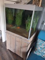Aquarium 75x75x75 met heel veel spul, Ophalen of Verzenden, Leeg aquarium