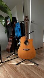 Morgan W309sce deluxe (mat) Western gitaar met element, Ophalen, Zo goed als nieuw, Western- of Steelstringgitaar