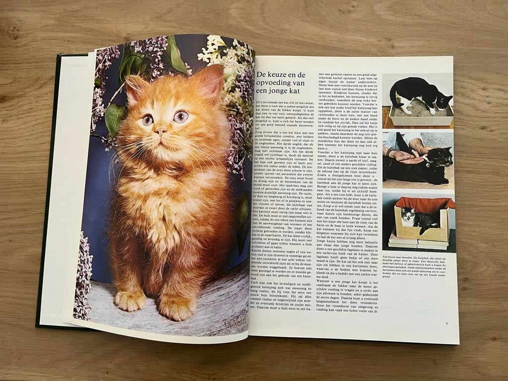 De Kat als Huisdier - De Wonderlijke Natuur originele poster, Ophalen of Verzenden, Gelezen, Katten