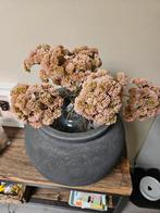 Drie takken nepbloemen, Ophalen