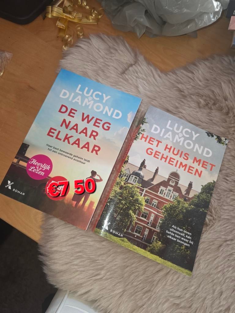 Lucy diamond, Boeken, Ophalen of Verzenden, Zo goed als nieuw
