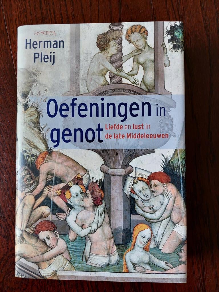 Boek 'Oefeningen in genot' van Herman Pleij, Boeken, Ophalen of Verzenden, Zo goed als nieuw
