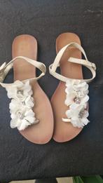 Dames slippers, Ophalen of Verzenden