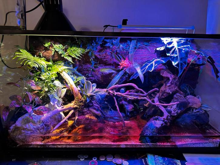 Paludarium 80x35x40, Dieren en Toebehoren, Reptielen en Amfibieën | Toebehoren, Zo goed als nieuw, Terrarium of Paludarium, Ophalen