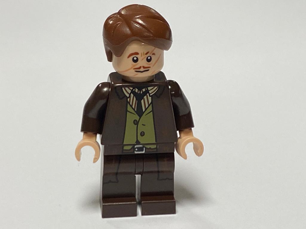 Lego nieuwe Minifiguur hp381 Professor Remus Lupos, Ophalen of Verzenden, Nieuw, Losse stenen, Lego