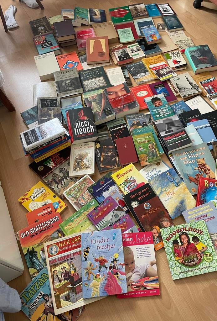 Diverse boeken: literatuur, theologie, management, thrillers, Ophalen, Gelezen