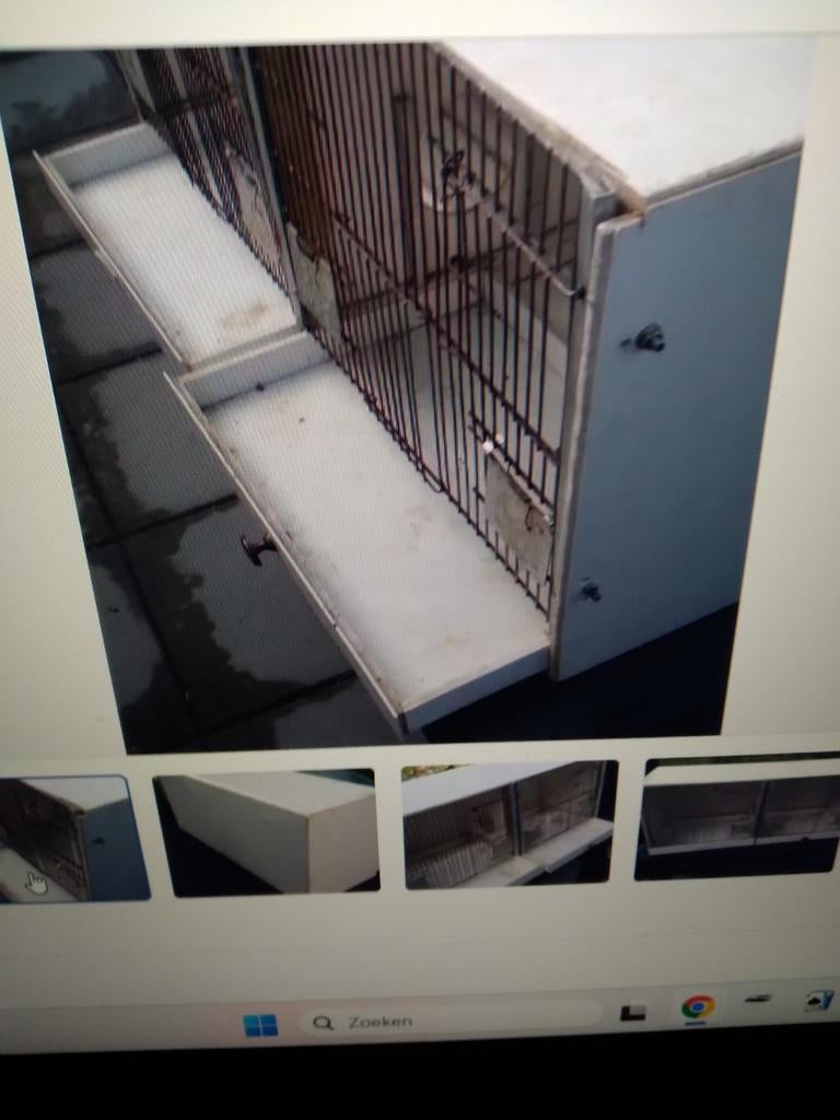 Vogelkooi (Broed kooi), Dieren en Toebehoren, Vogels | Hokken en Kooien, Ophalen, Gebruikt, Hout, Vogelkooi