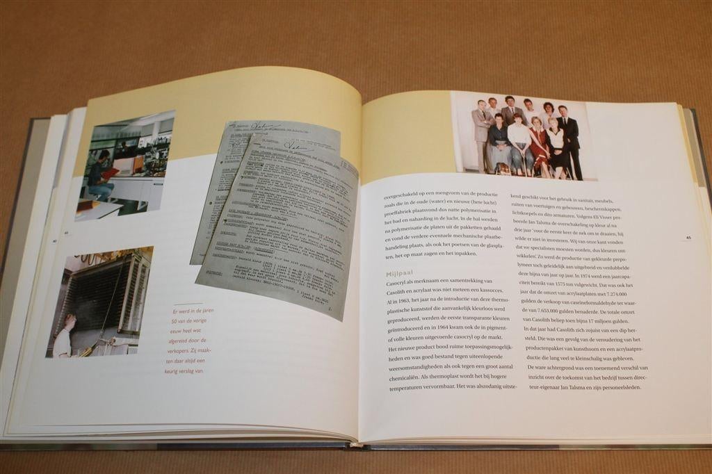 Casolith-Altuglas — Geschiedenis Leeuwarden 1920-2006, Boeken, Ophalen of Verzenden, Gelezen