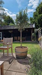 Supergave eikenhouten bloembakken van wijnvaten!!, Tuin en Terras, Bloembakken en Plantenbakken, Ophalen, Rond, Nieuw, 60 tot 100 cm