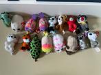 Ty Teeny & Beanie Boo's - 16 stuks, Ophalen of Verzenden, Gebruikt, Overige typen