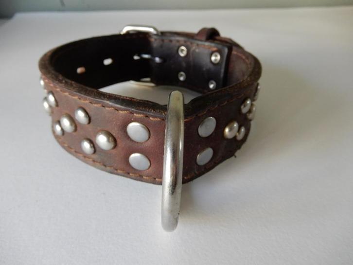 Stevige leren hondenriem van Beeztees met studs, Dieren en Toebehoren, Hondenriemen, Zo goed als nieuw, Hondenriem, Ophalen