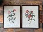 Vintage Prints met Rozen van Pierre Joseph Redoute, Verzenden