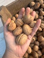 Walnoten 2025, Ophalen of Verzenden