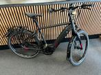 Koga Pace B20 H52 500wh, Fietsen en Brommers, Versnellingen, Nieuw, 49 tot 53 cm, Ophalen