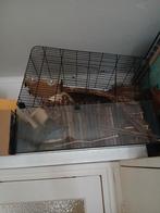 Hansterkooi, Ophalen of Verzenden, Minder dan 75 cm, Kooi, Minder dan 60 cm