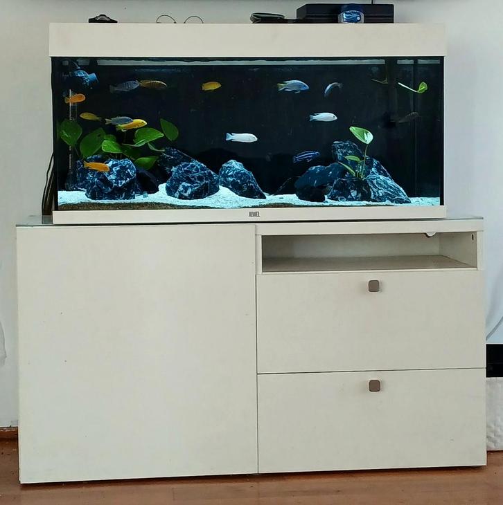 Juwel aquarium 180L (MOET WEG), Dieren en Toebehoren, Vissen | Aquaria en Toebehoren, Gevuld zoetwateraquarium, Ophalen