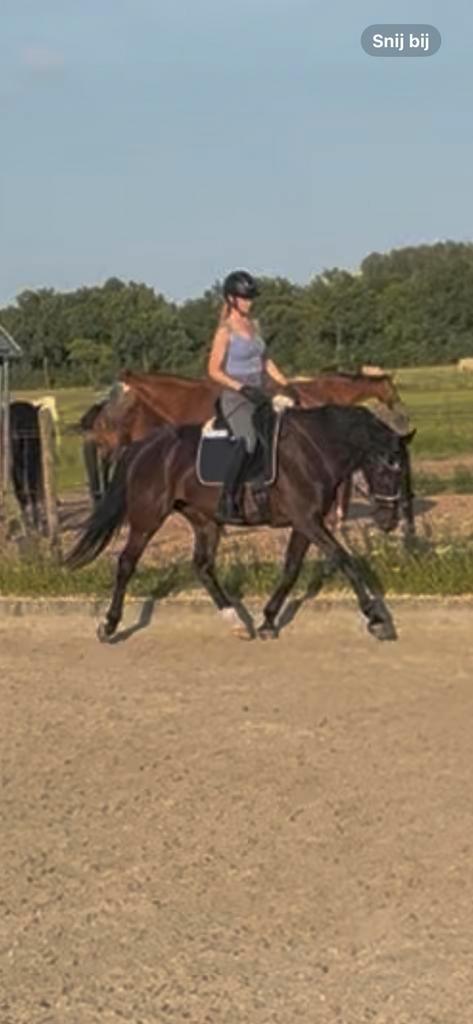 Bijrijder gezocht, Contacten en Berichten, Sport en Hobby oproepen
