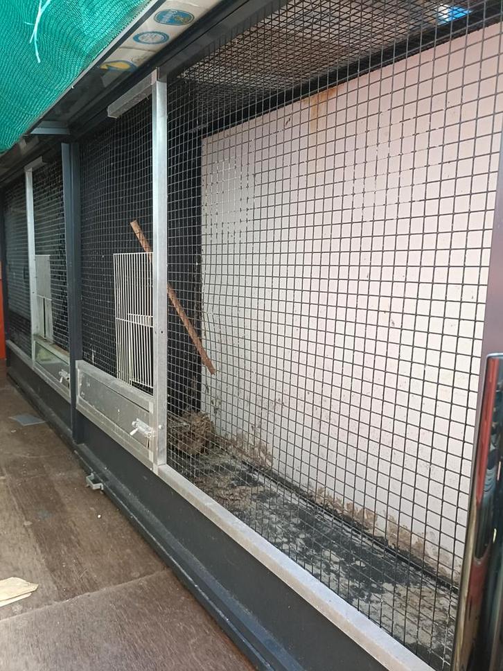 Zeer mooie trespa aluminium wandkooi, Dieren en Toebehoren, Vogels | Hokken en Kooien, Gebruikt, Vogelkooi, Aluminium, Ophalen