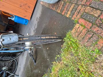 Gazelle Esprit  beschikbaar voor biedingen