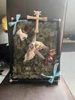 Taxidermy lijst met schedel erin, Ophalen of Verzenden, Zo goed als nieuw, Schedel