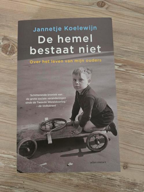 Jannetje Koelewijn - De hemel bestaat niet, Boeken, Overige Boeken, Zo goed als nieuw, Ophalen of Verzenden