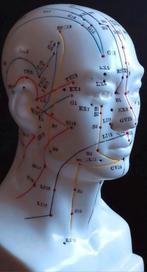 Hoofd Acupunctuur Model PVC siliconen - Chinese Traditionele, Ophalen of Verzenden, Nieuw