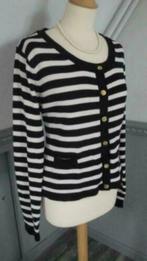 Zwart/offwhite vestje BASIC EQUIPMENT maat L, Kleding | Dames, Basic Equipment, Zwart, Maat 42/44 (L), Ophalen of Verzenden