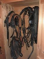 2x enkelspan webtech tuig, Dieren en Toebehoren, Ophalen, Gebruikt, Overige soorten