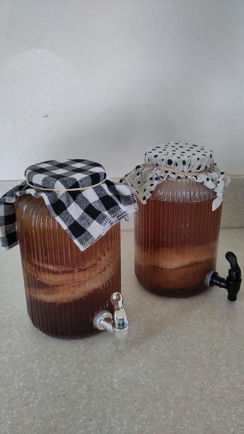 Mooie dunne scoby voor Jun thee of Jun kombucha, Diversen, Levensmiddelen, Ophalen of Verzenden