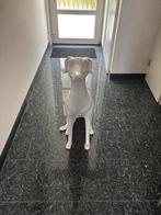 Wit Hond beeld, Verzamelen, Beelden en Beeldjes, Ophalen of Verzenden