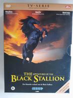 The Adventures of the Black Stallion - 6 DVD Boxset, Alle leeftijden, Ophalen of Verzenden, Zo goed als nieuw, Boxset