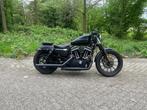 Harley Davidson XL 883N Iron Sporster, Chopper, Bedrijf, 883 cc, Meer dan 35 kW
