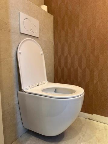 Toilet Nieuw in doos Spoelrandloos,cycloonflush incl zitting beschikbaar voor biedingen