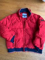 Tommy Hilfiger Jas - XL - Rood, Ophalen of Verzenden, Zo goed als nieuw, Maat 56/58 (XL), Rood