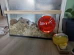 Aquarium hamsterbak hamster scaping met deksel, Dieren en Toebehoren, Knaagdieren en Konijnen | Hokken en Kooien, Kooi, Gebruikt