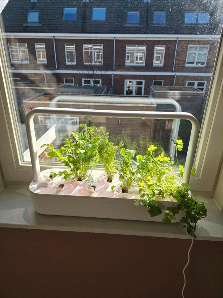 Click & Grow Indoor Tuin - Groenten kweken binnenshuis!, Tuin en Terras, Kweekspullen, Zo goed als nieuw, Kweekbak, Ophalen
