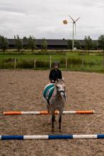 LES!! GRONDWERK, NATURAL HORSEMANSHIP, PAARDENCOACHING, Paardrijles of Ponykampen