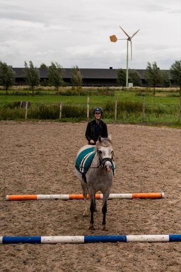 LES!! GRONDWERK, NATURAL HORSEMANSHIP, PAARDENCOACHING beschikbaar voor biedingen