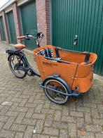 Babboe curve-e (2025), Fietsen en Brommers, Fietsen | Bakfietsen, Ophalen, Zo goed als nieuw, 4 kinderen of meer