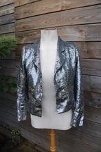 Jasje zilver paillet Josh V mt XS Vaste prijs AANBIEDING, Ophalen of Verzenden, Zo goed als nieuw, Jasje, Maat 34 (XS) of kleiner