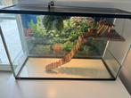 Terrarium 80 x 50 x 30, Dieren en Toebehoren, Reptielen en Amfibieën | Toebehoren, Gebruikt, Terrarium of Paludarium, Ophalen