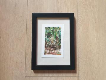 Originele aquarel schildpad ingelijst kunstwerk (13x18 cm) beschikbaar voor biedingen