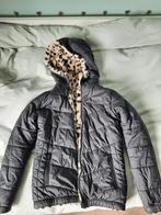 Winterjas Car Jeans, Ophalen, Meisje, Zo goed als nieuw, Cars jeans