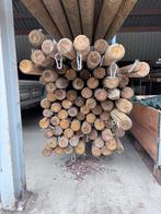 3 meter gevreesde palen geïmpregneerd, Ophalen, Gebruikt, 250 cm of meer, Palen