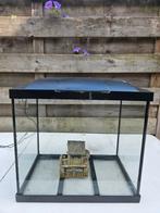 Aquarium Superfish start 50, Dieren en Toebehoren, Vissen | Aquaria en Toebehoren, Ophalen, Leeg aquarium