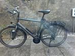 Santos E-Bike met Pendix motor en Rohloff naaf met Riem, Fietsen en Brommers, Gebruikt, Versnellingen, 61 tot 65 cm, Ophalen