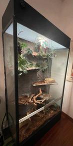 Groot Terrarium 156cm / 89,5 cm / 46,5 cm, Dieren en Toebehoren, Ophalen, Gebruikt, Terrarium of Paludarium