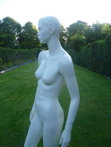 Paspop Etalagepop Mannequin Vintage Atelier opruiming ai beschikbaar voor biedingen