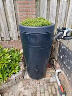 Regenton 230 liter met planten deksel, 150 liter of meer, Ophalen, Zo goed als nieuw, Kunststof